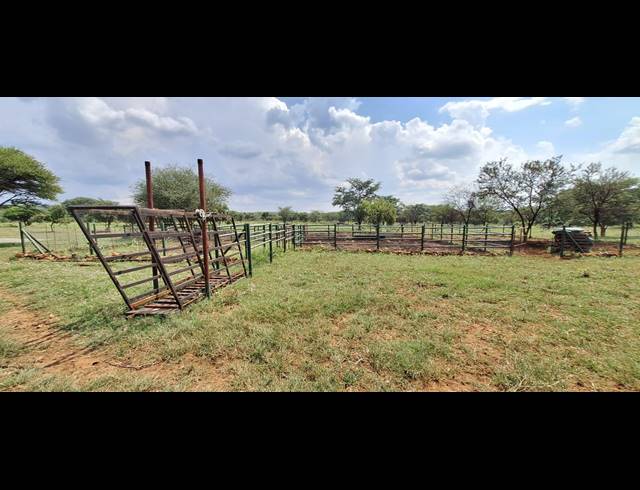 272HA FARM FOR SALE IN KOSTER